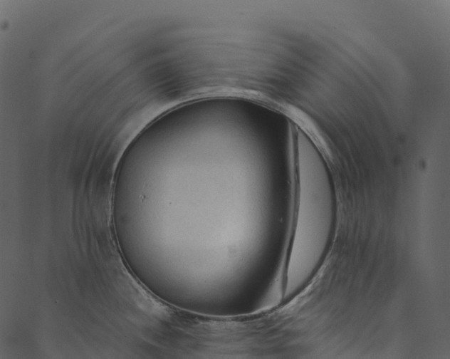 X0000089661244200707121151