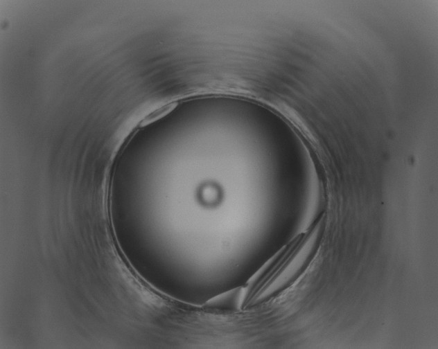 X0000089661246200707121151