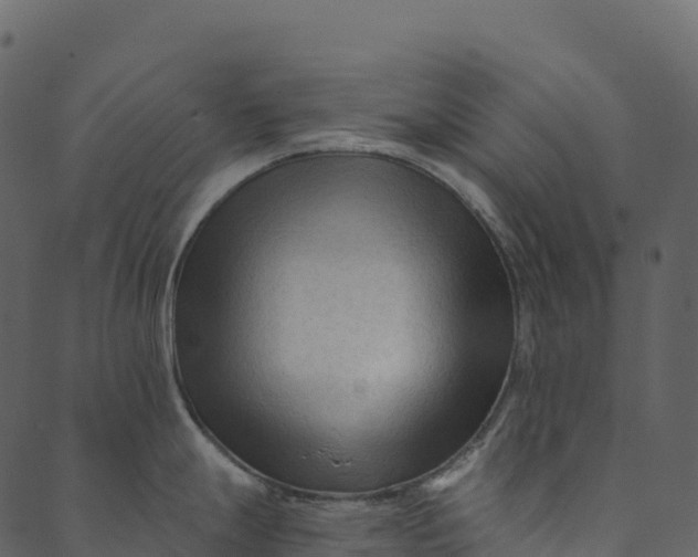 X0000089661247200707121151