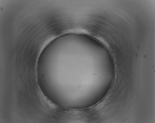 X0000089661248200707121151