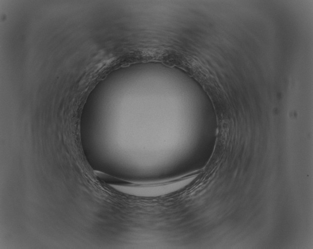 X0000089661249200707121150