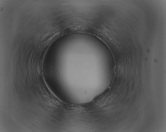 X0000089661250200707121150