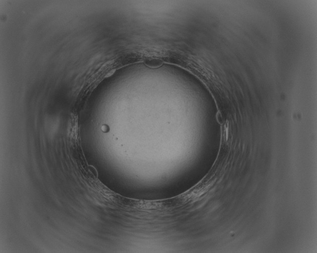 X0000089661251200707121150