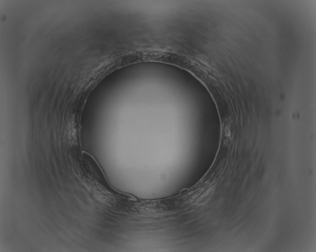 X0000089661252200707121150