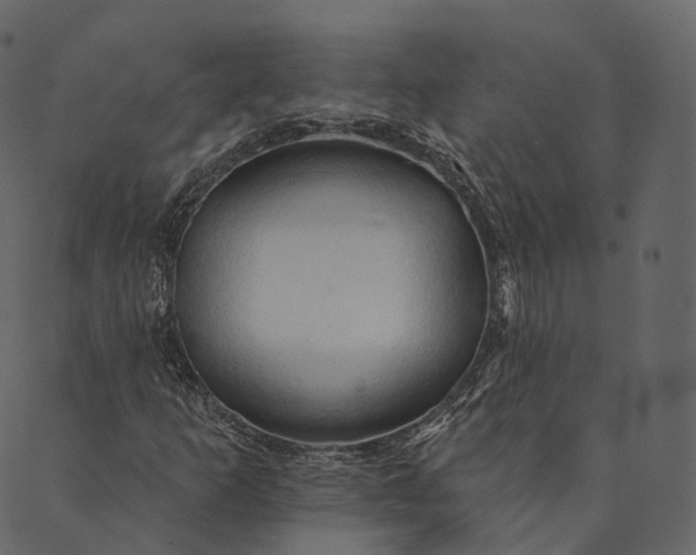 X0000089661253200707121150