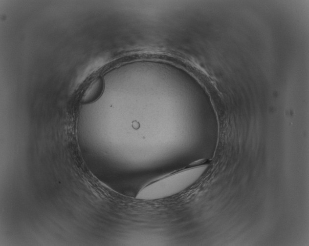 X0000089661255200707121150