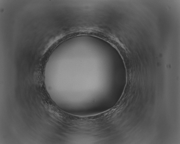 X0000089661256200707121150