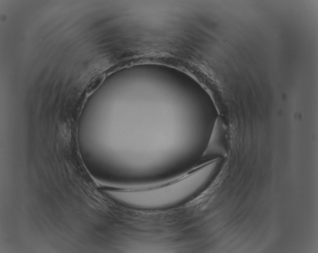 X0000089661257200707121150