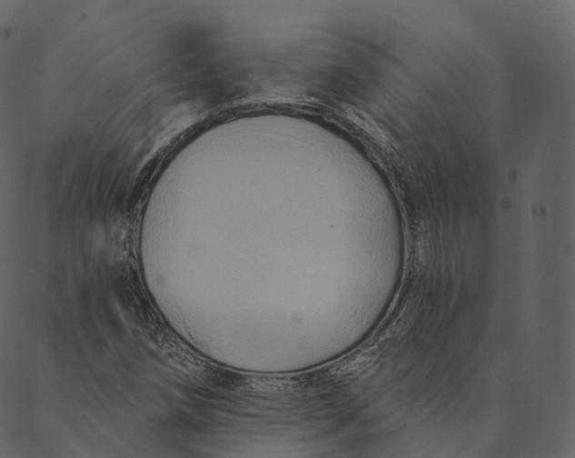 X0000089661258200707121150