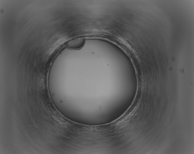 X0000089661259200707121150