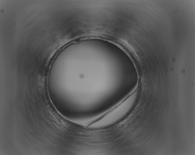 X0000089661260200707121150