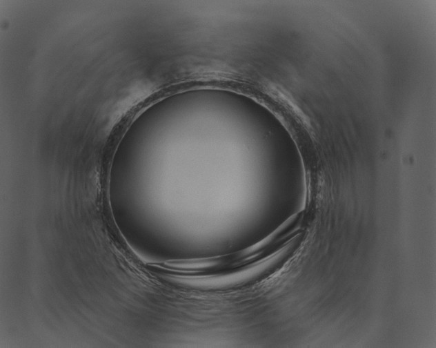 X0000089661261200707121150