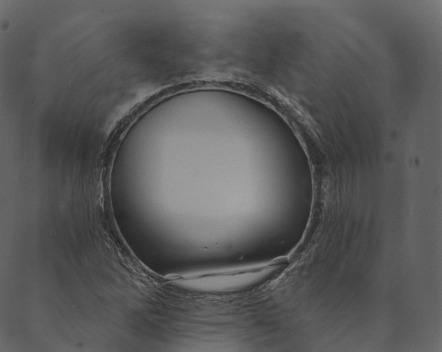 X0000089661262200707121150