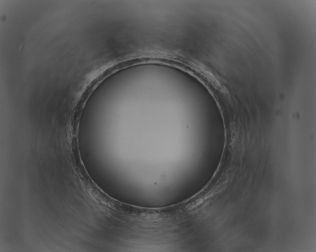 X0000089661264200707121150