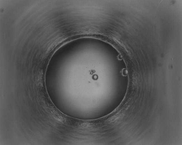 X0000089661265200707121150