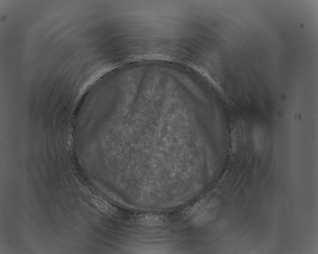 X0000089661266200707121150