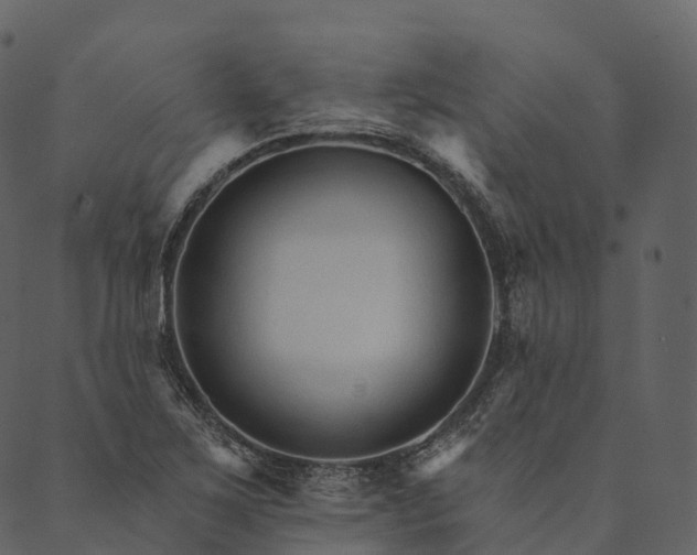 X0000089661267200707121150