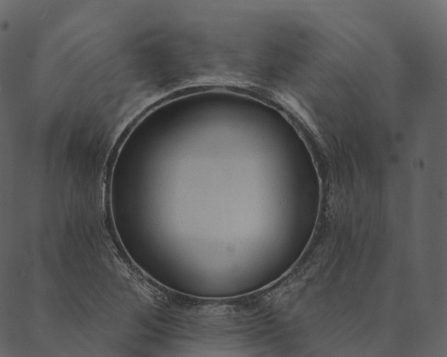 X0000089661268200707121150