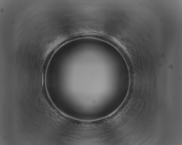 X0000089661269200707121150