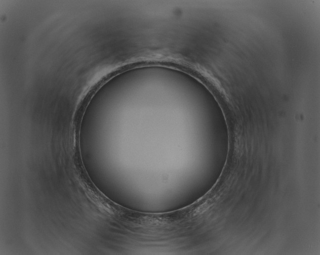 X0000089661270200707121150