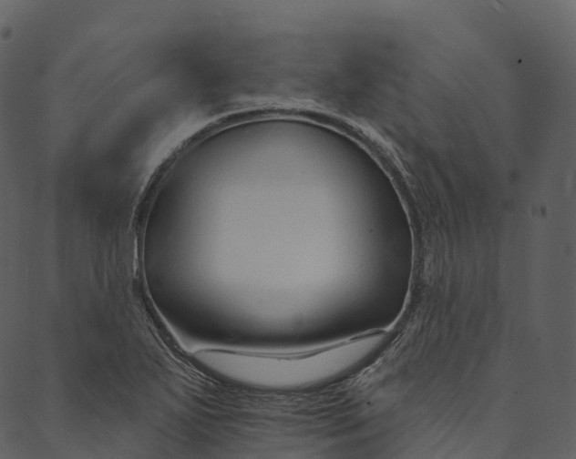 X0000089661271200707121150