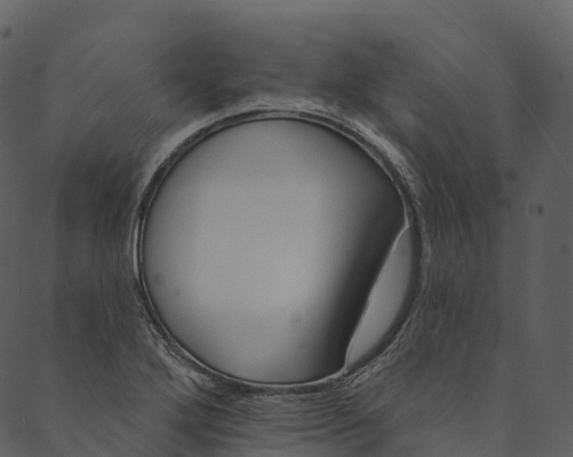 X0000089661272200707121150