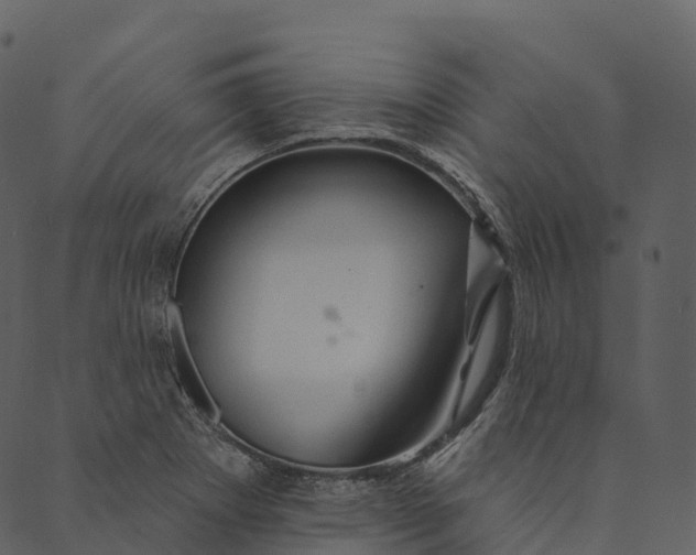 X0000089661273200707121150