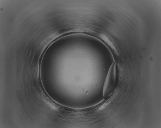 X0000089661276200707121150