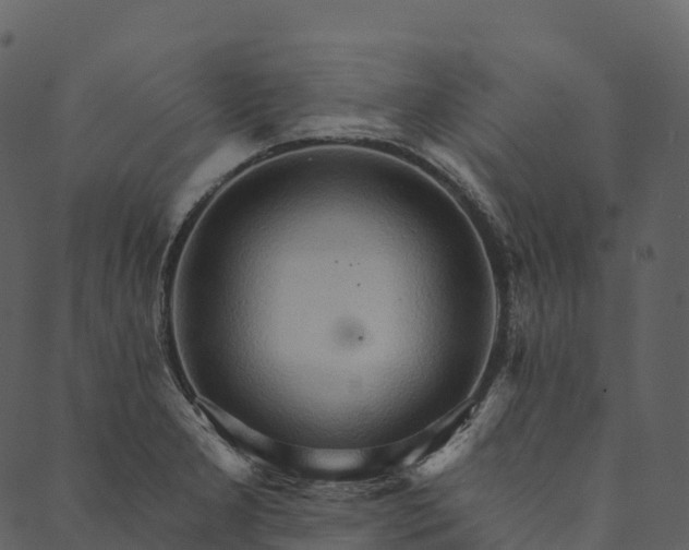 X0000089661277200707121150