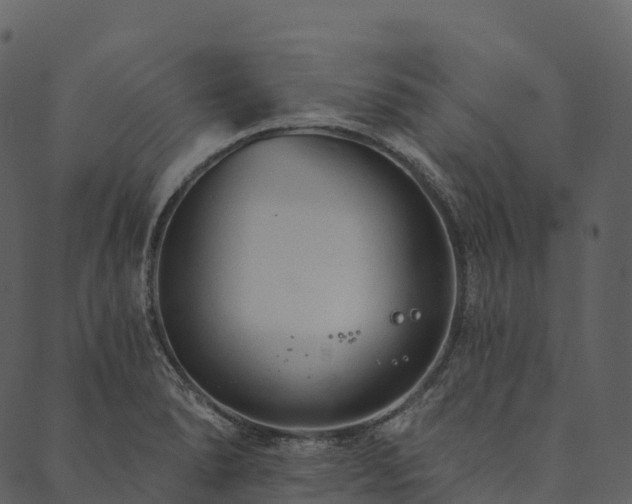 X0000089661278200707121150