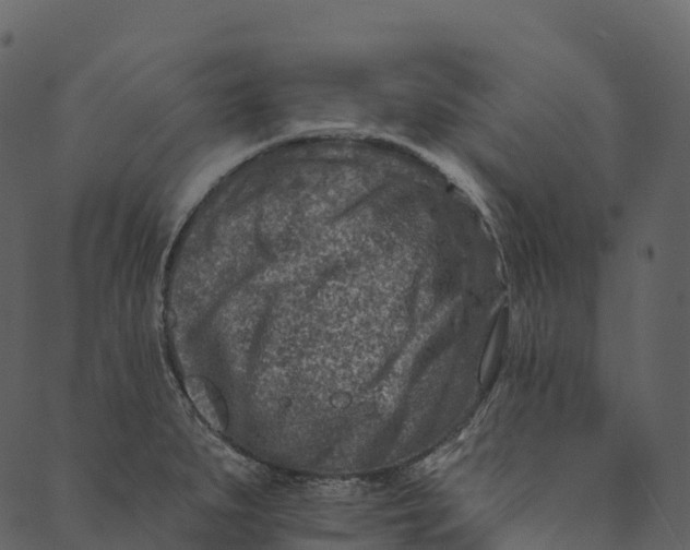 X0000089661279200707121150