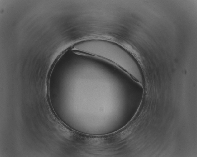 X0000089661280200707121150