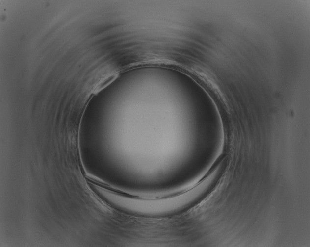 X0000089661281200707121150