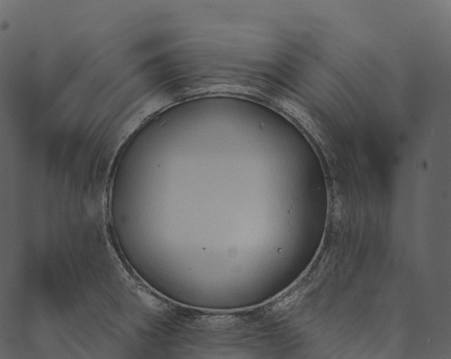 X0000089661282200707121150