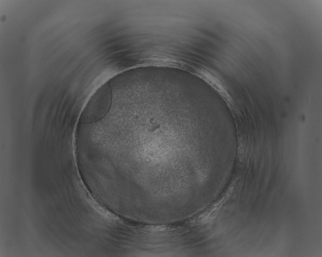 X0000089661283200707121149