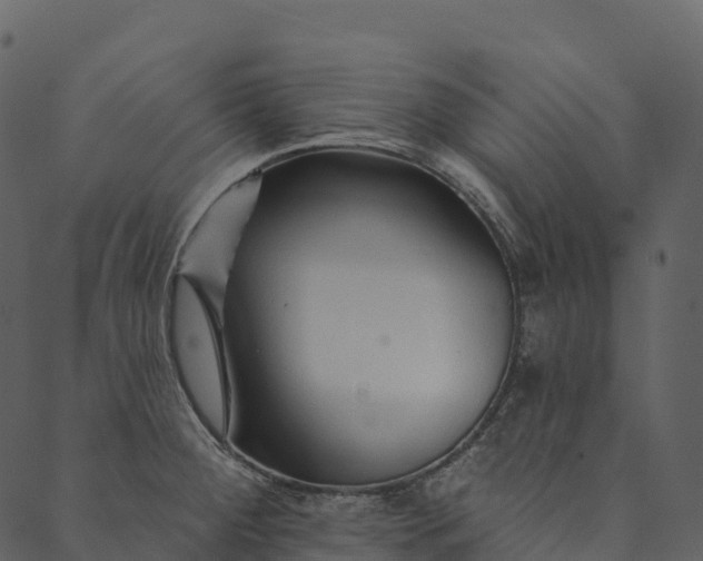 X0000089661284200707121149