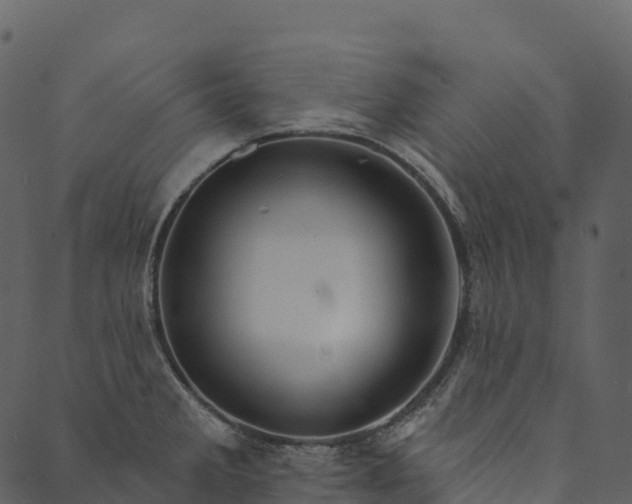 X0000089661285200707121149