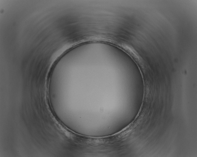 X0000089661286200707121149