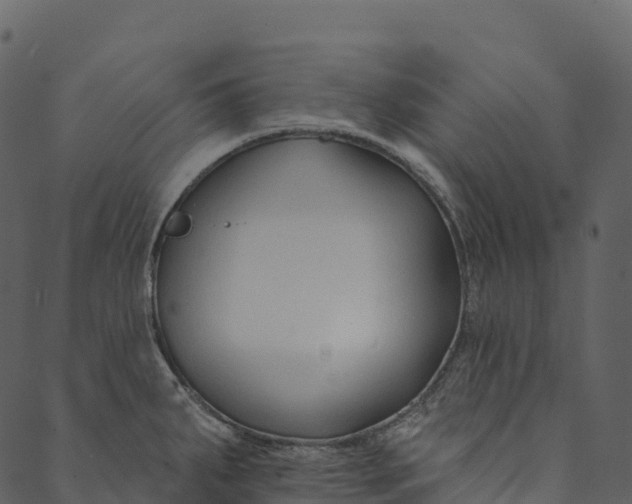 X0000089661287200707121149