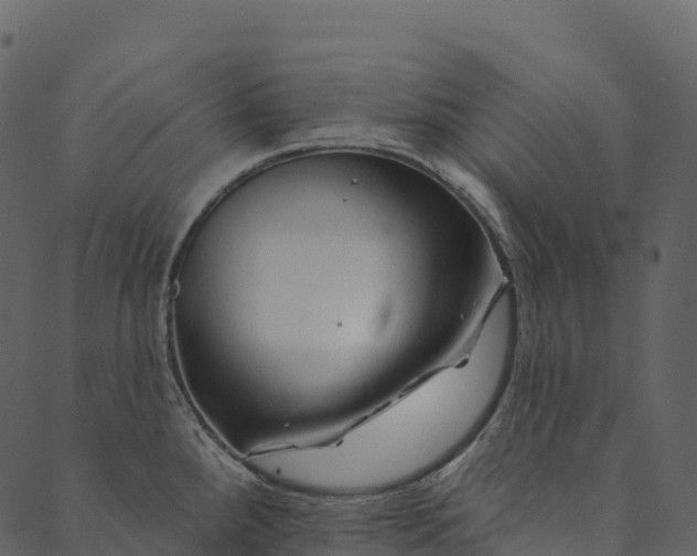 X0000089661288200707121149