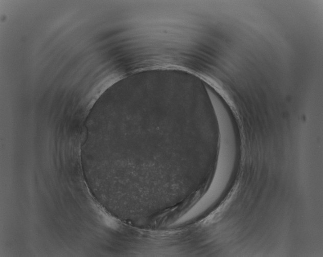 X0000089661289200707121149