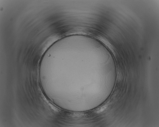 X0000089661290200707121149