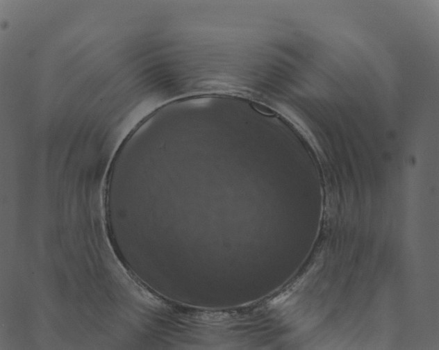 X0000089661291200707121149