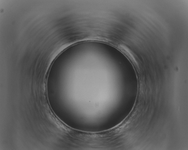 X0000089661292200707121149