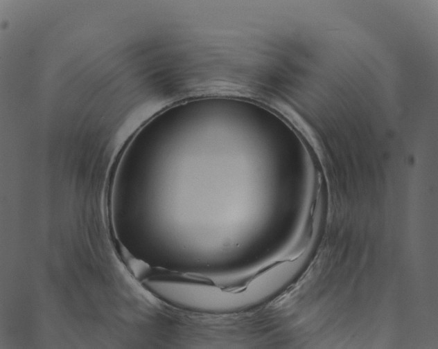 X0000089661293200707121149