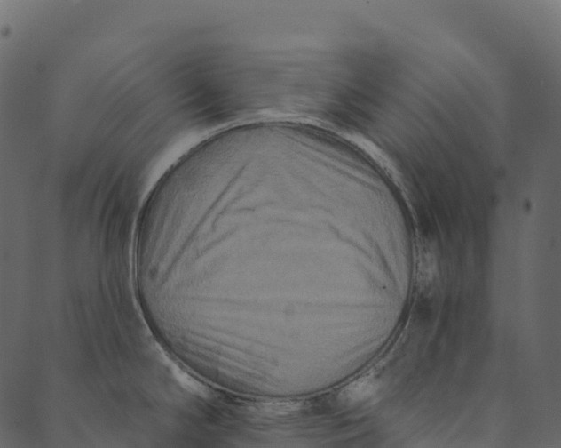 X0000089661294200707121149