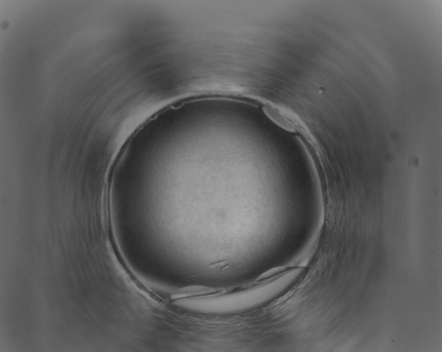 X0000089661295200707121149