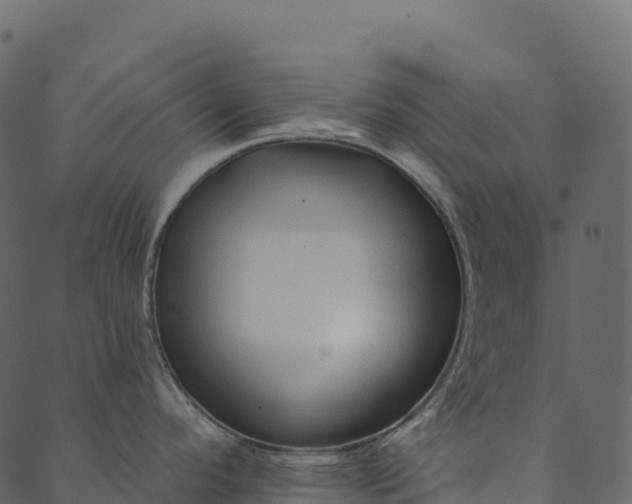 X0000089661296200707121149