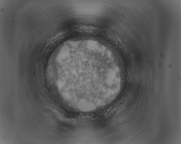 X0000089661297200707121149