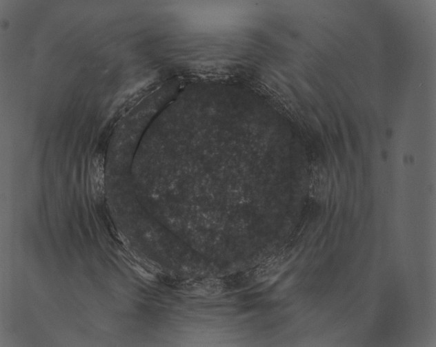 X0000089661298200707121149